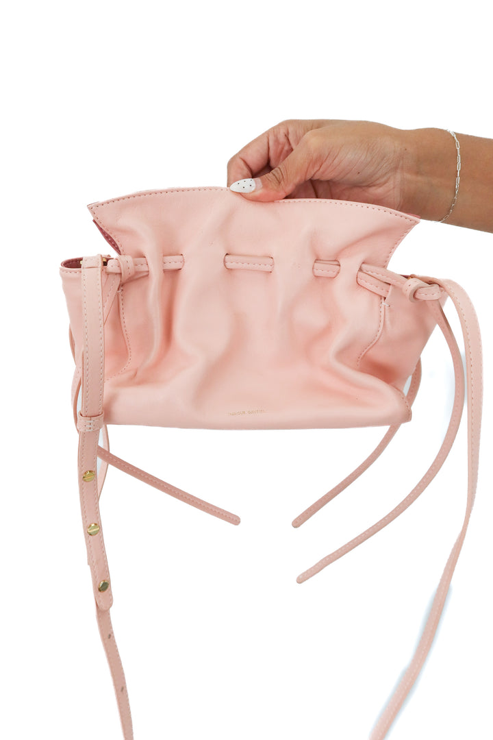 Mansur Gavriel Mini Protea Bag in Rosa and Blush