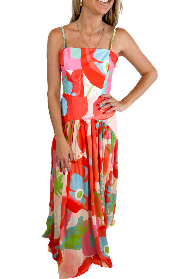 Hutch Floral Print Maxi Dress NWT (0)