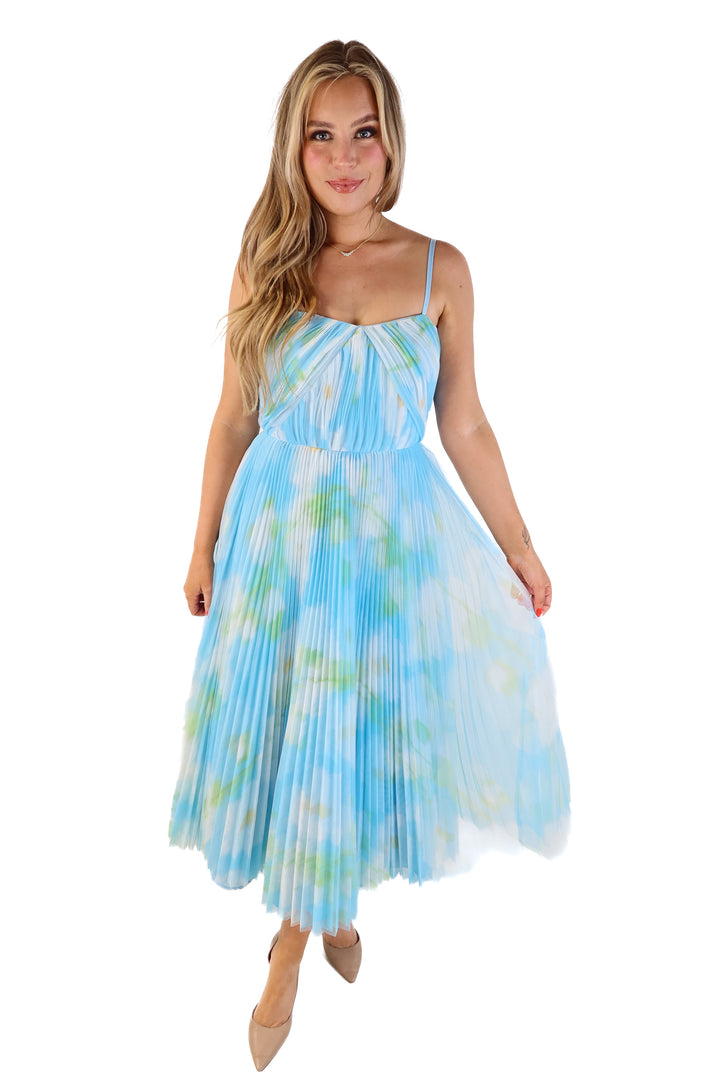 Hutch blue tulle maxi dress (2; retails for $348)