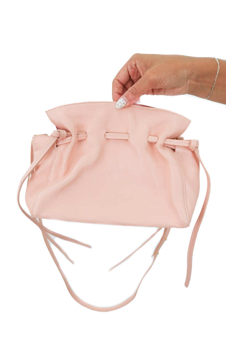 Mansur Gavriel Mini Protea Bag in Rosa and Blush