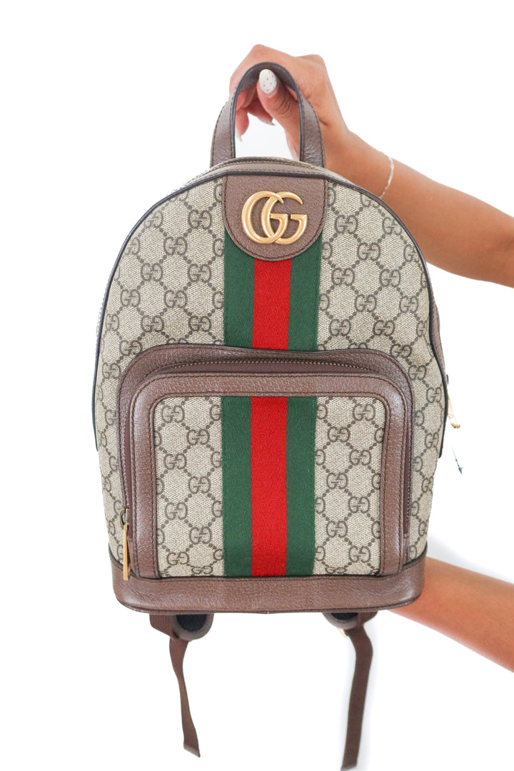 Gucci Ophidia Backpack