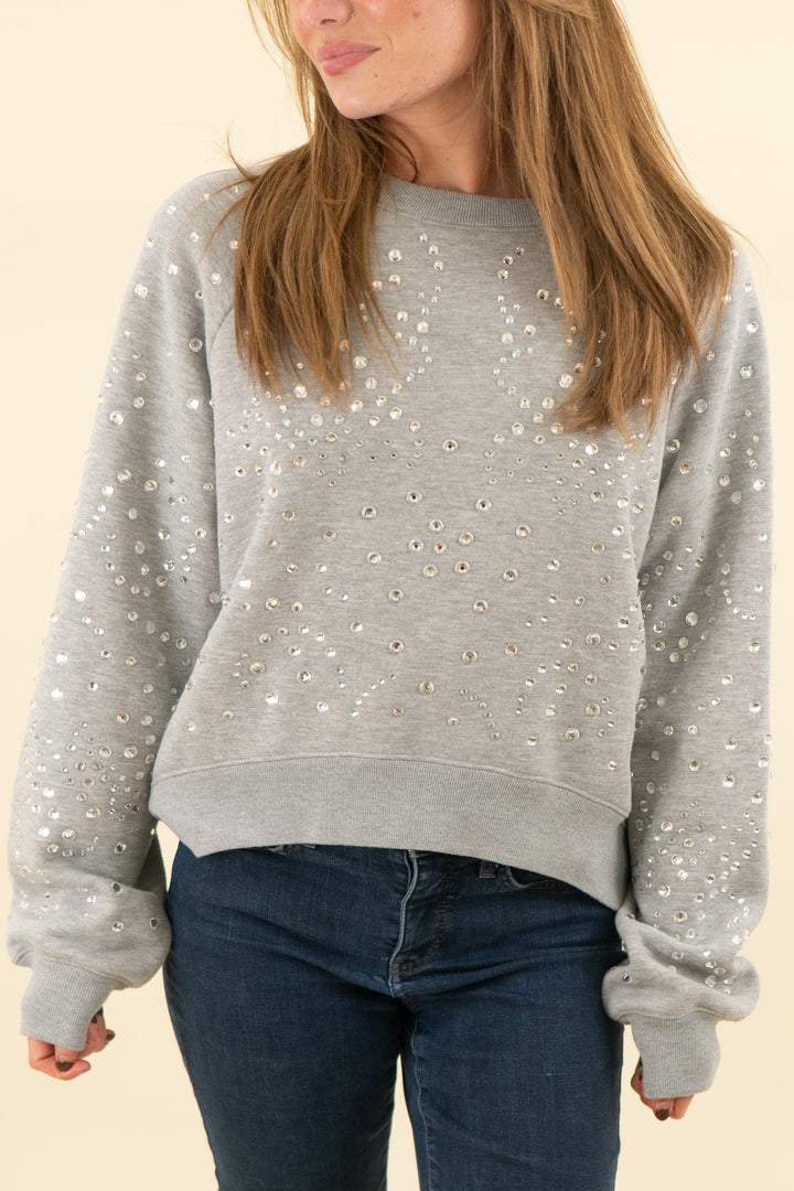 cynthia rowley light grey rhinestone sweatshirt (s; retail $275)