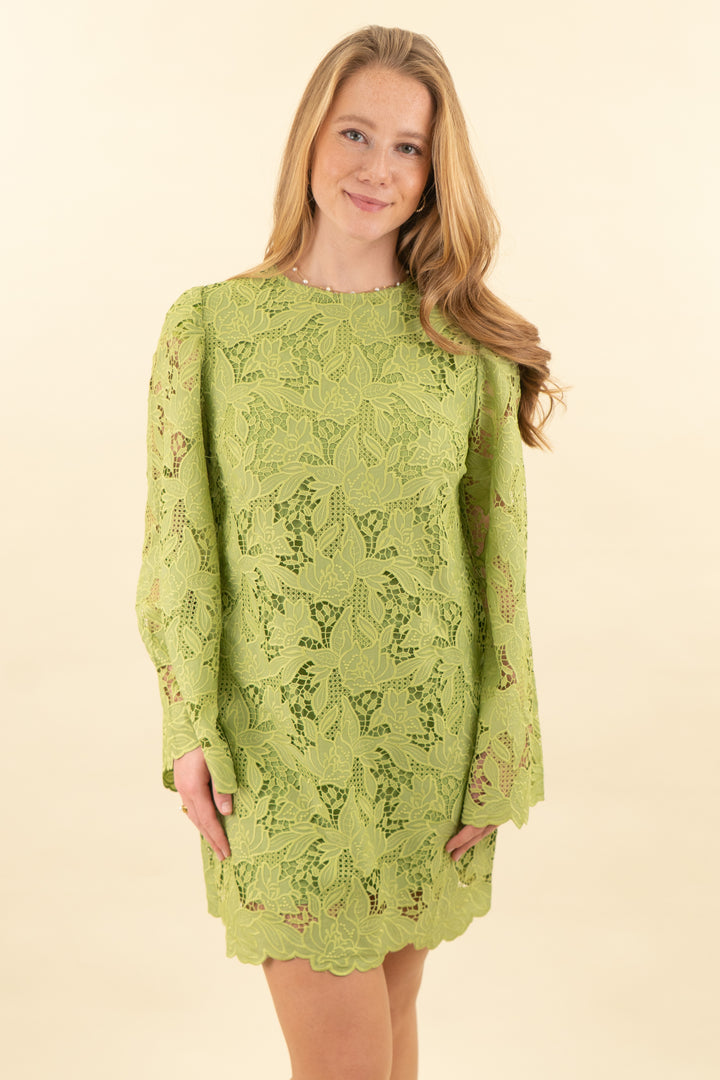 hyacinth house green lace dress (m; retail $178)