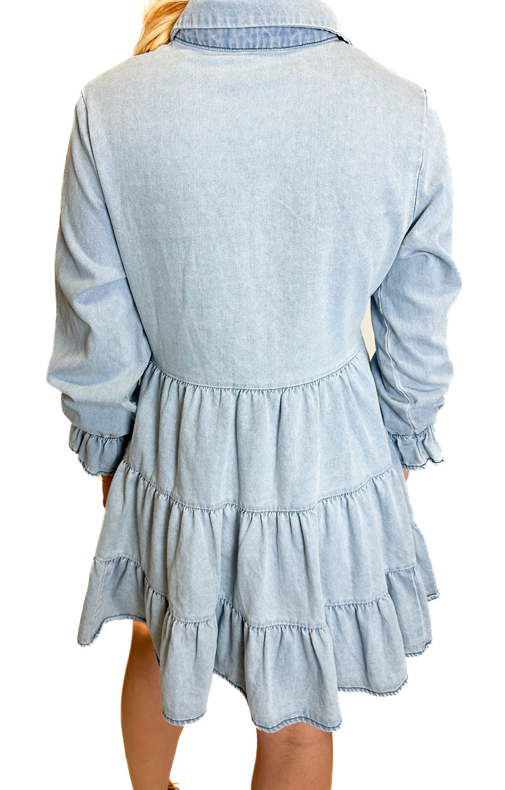 Petal & Pup Chambray Mini Dress (2)