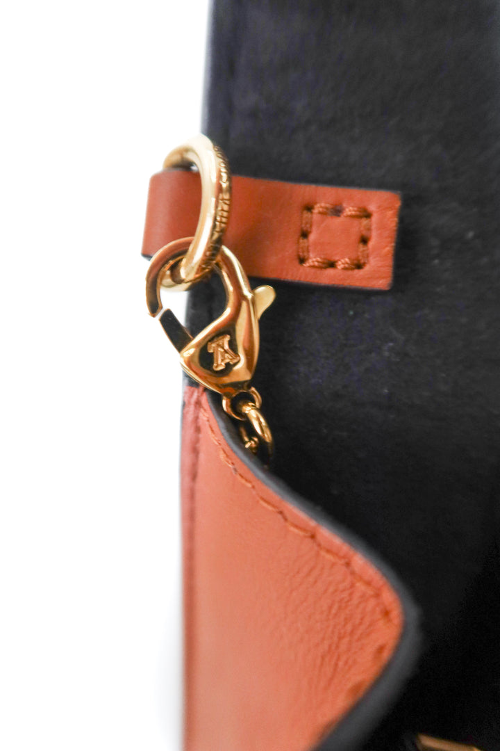Louis Vuitton Dauphine Wallet on Chain