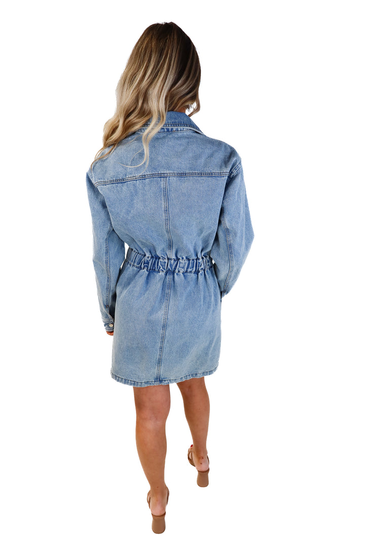 Whiteroom+Cactus denim long sleeve dress (s; retail $109)