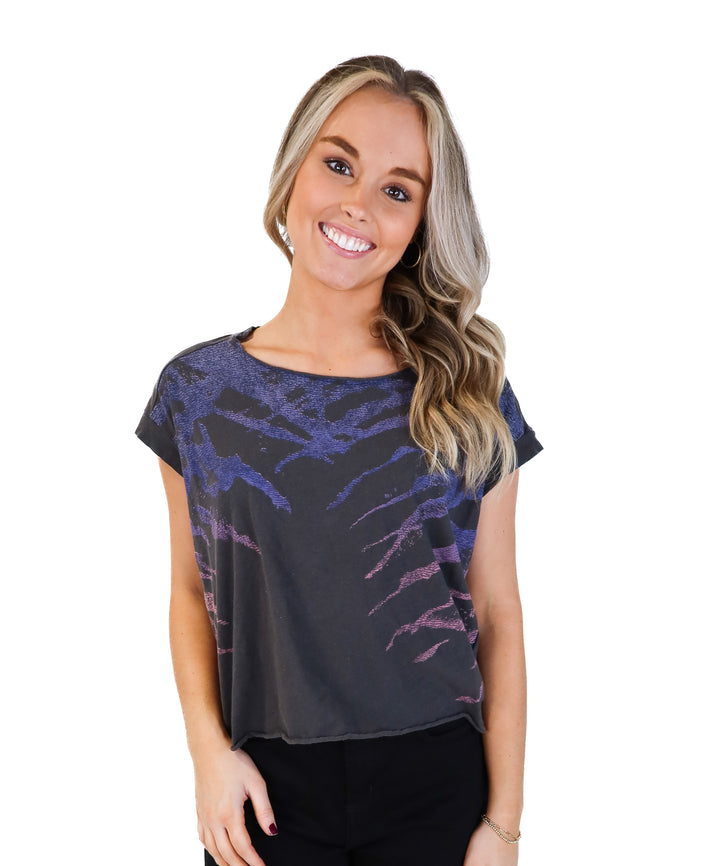 All saints colorful zebra striped tee (xs; retail $79)