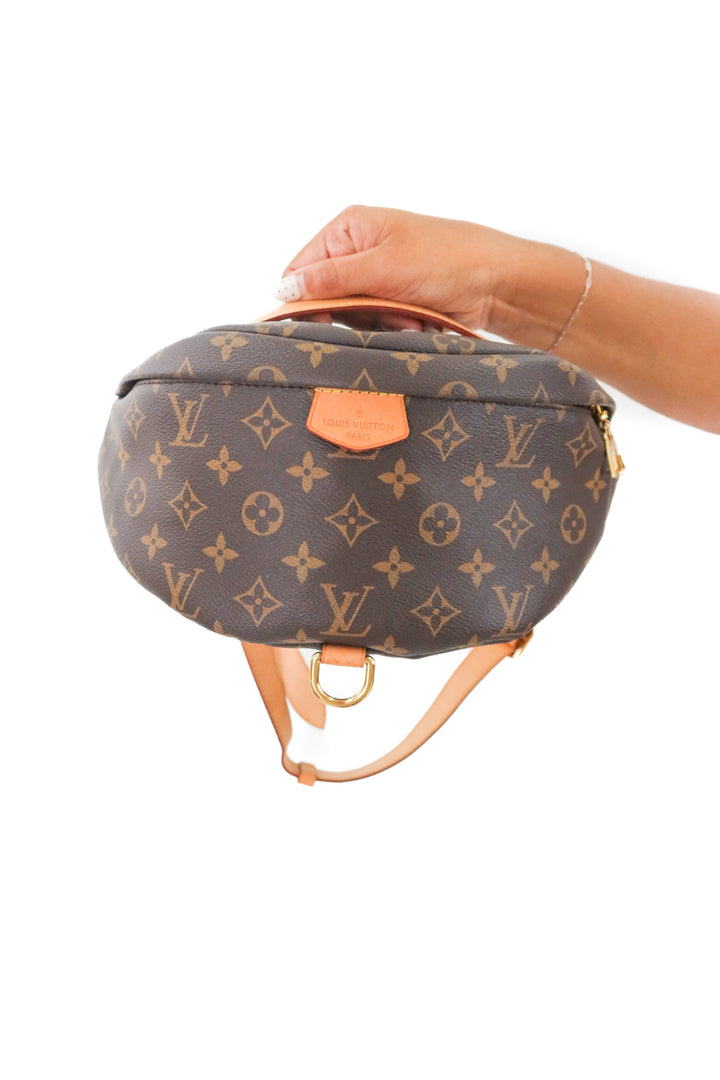 Louis Vuitton Monogram Bumbag