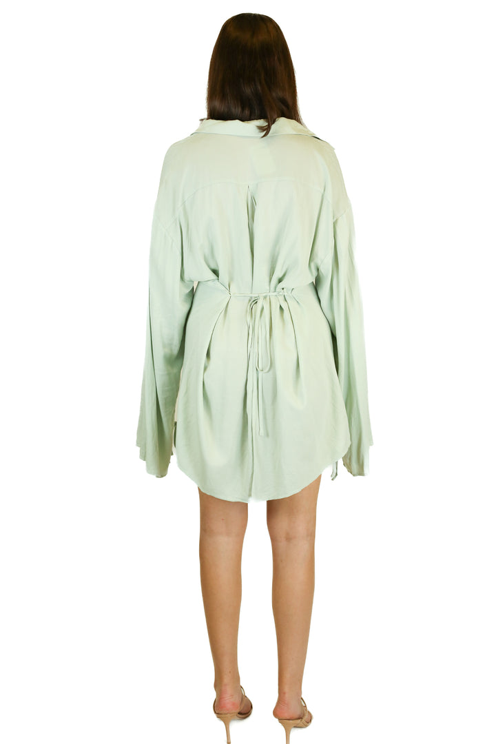 Showpo Mint Shirt Dress (10)