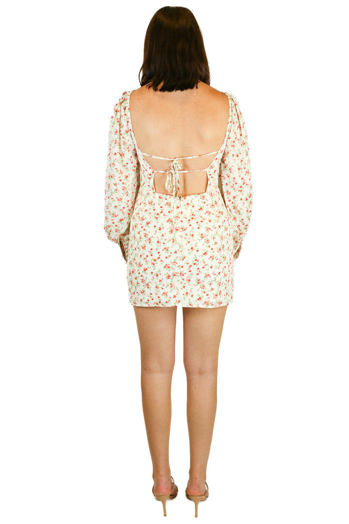 hello molly white with red flowers dress NWT (m)
