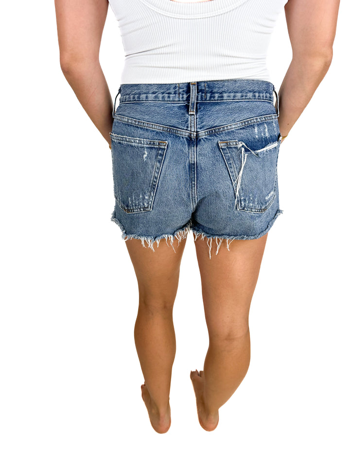 Agolde Premium Distressed Jean Shorts (29)