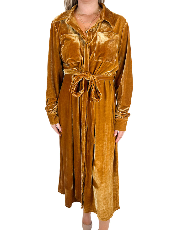 Aura Bronze Velvet Maxi Dress (L)