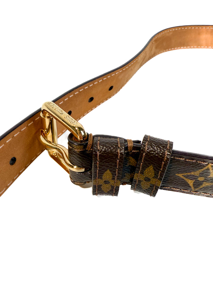 Louis Vuitton Belt Bag (vintage)