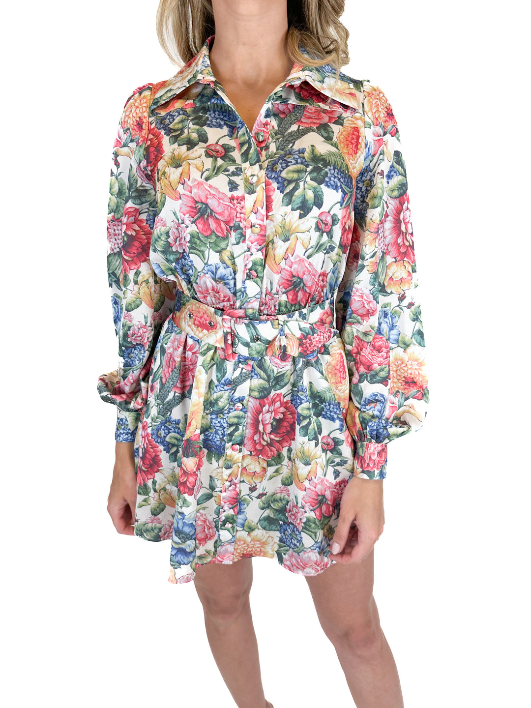 Show Me Your Mumu Floral Mini Dress (XS)