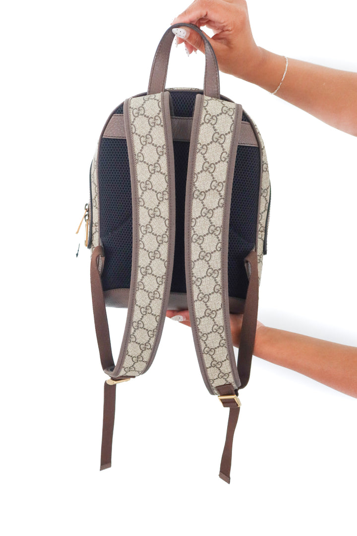 Gucci Ophidia Backpack