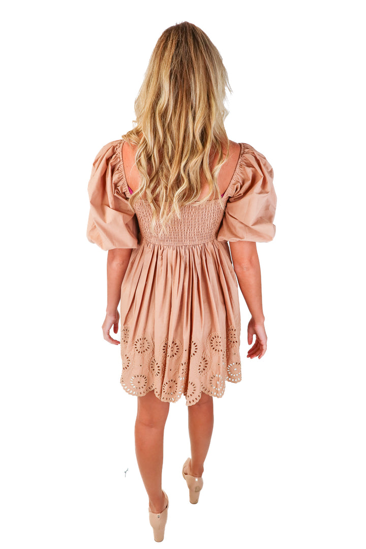 abercrombie & fitch brown eyelet dress (s; retail $80)