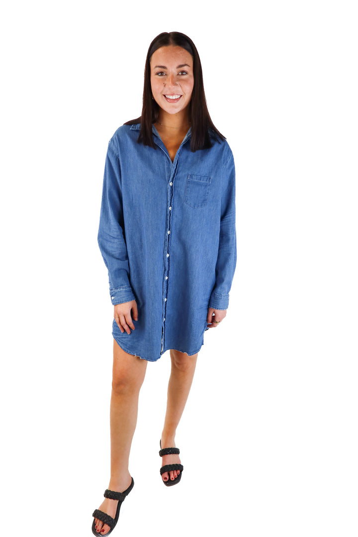 Frank & Eileen Chambray Shirt Dress (L; retail $328)
