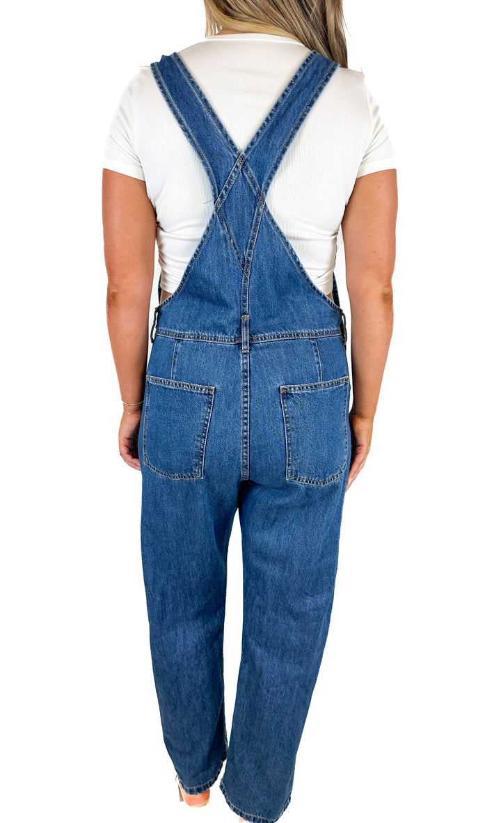 Free People We The Free Blue Ziggy Denim Overalls (M)