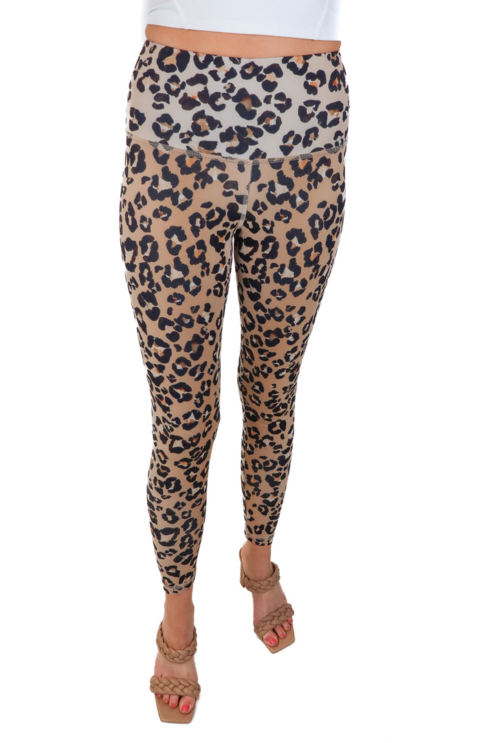 SOLD: Strut This Leopard Print Active Set (s/m; retails $145)