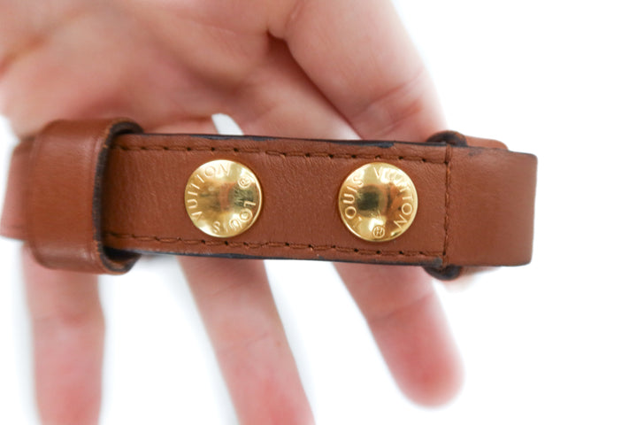 Louis Vuitton Dauphine MM Reverse Monogram (retail $4,050)