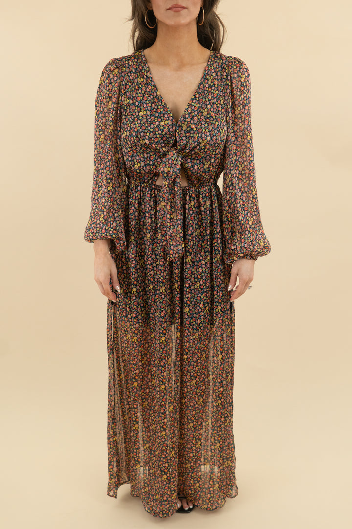 Buddy Love Black Multicolor Floral Maxi tie dress (s)