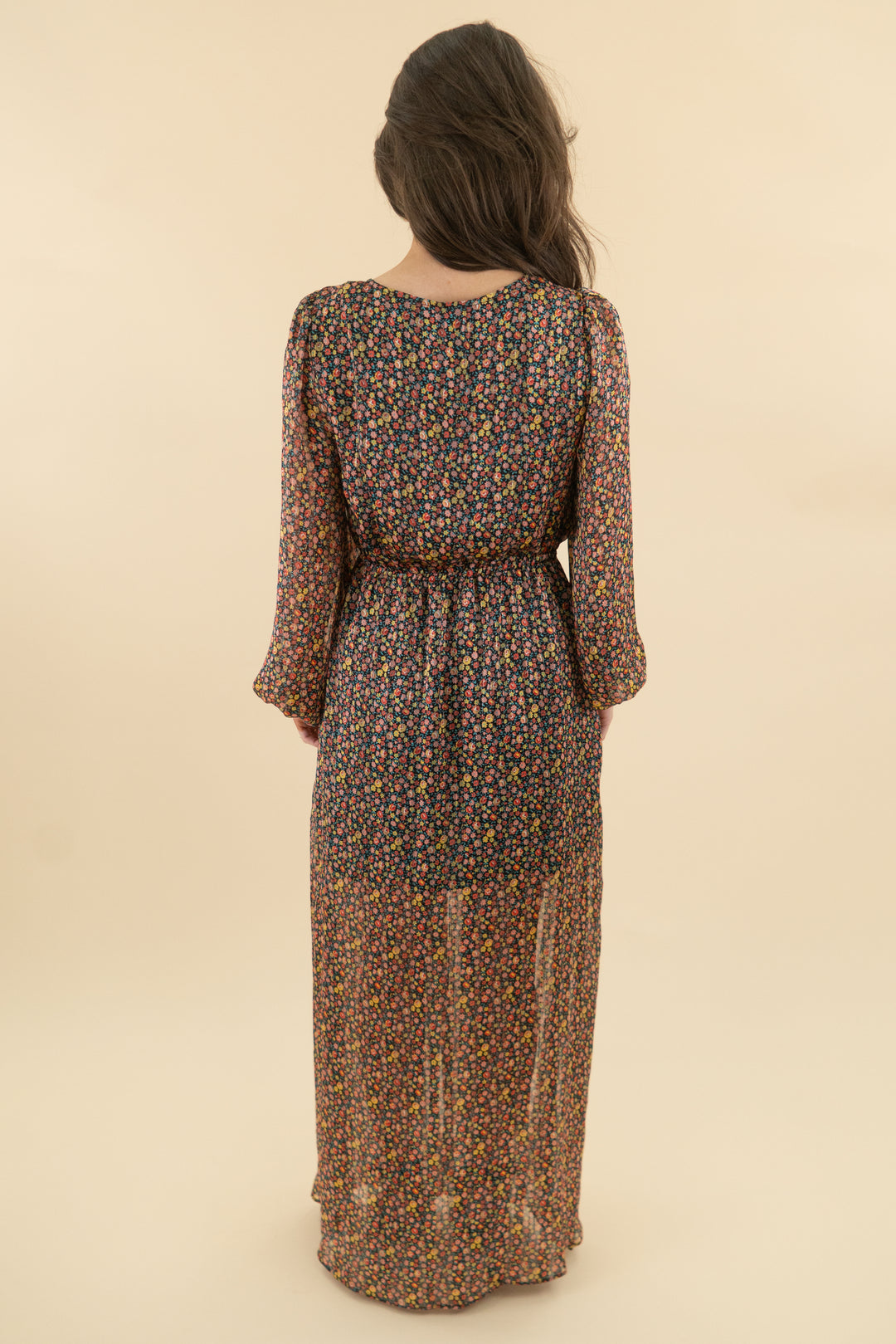 Buddy Love Black Multicolor Floral Maxi tie dress (s)