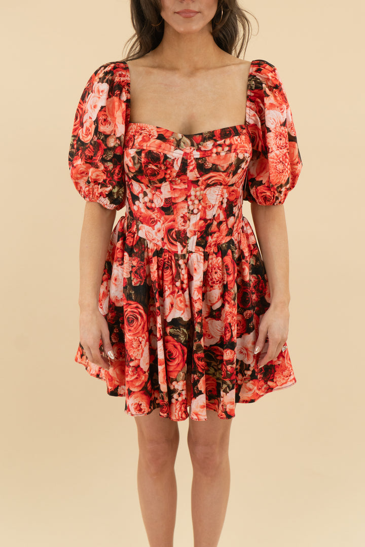 buddy love red roses corset puff sleeve mini dress nwt (s; retail $82)