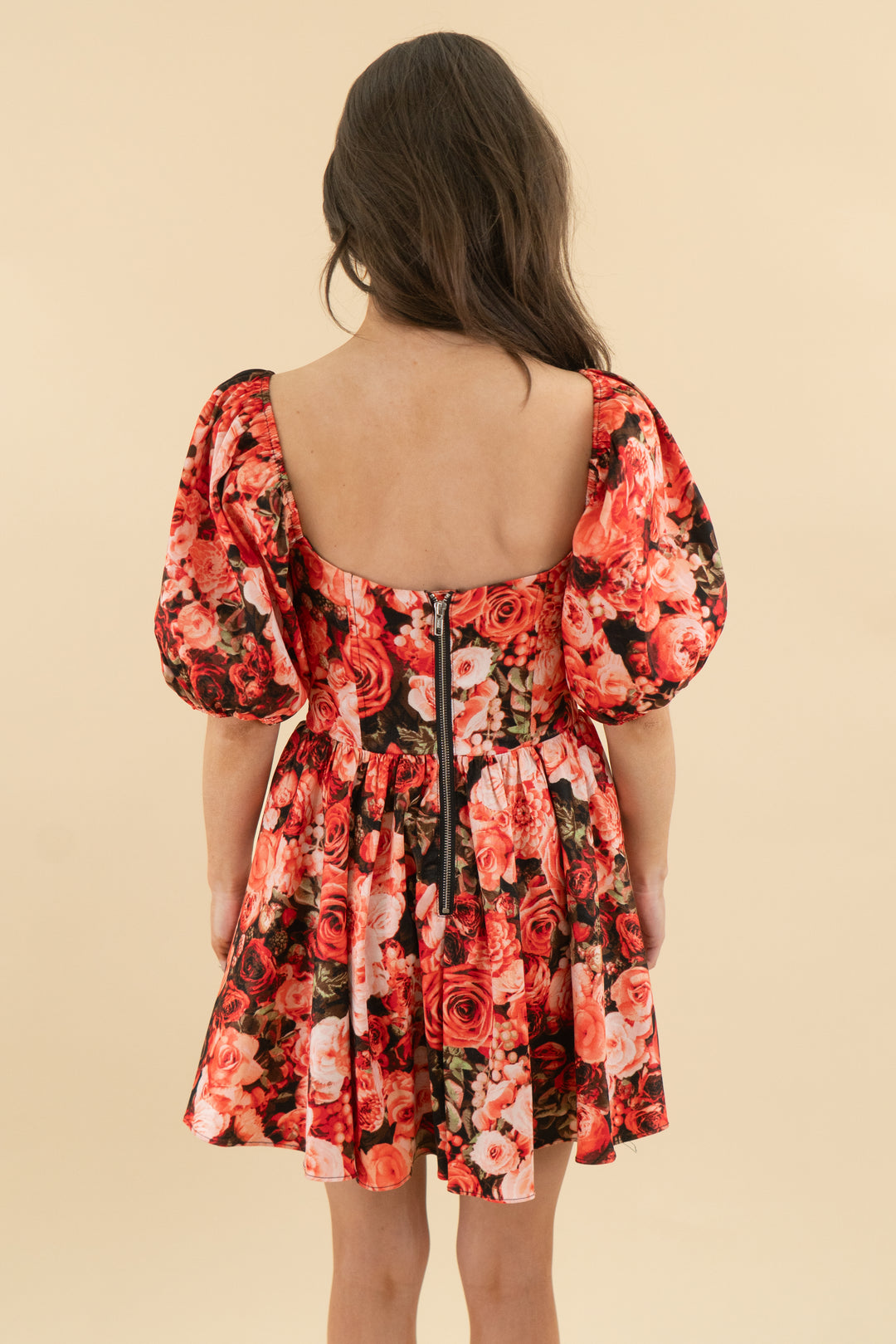 buddy love red roses corset puff sleeve mini dress nwt (s; retail $82)