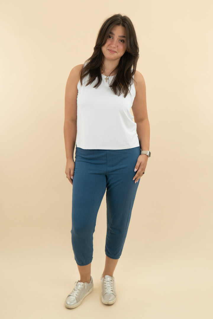 j crew blue lounge jogger (l: retail $69)