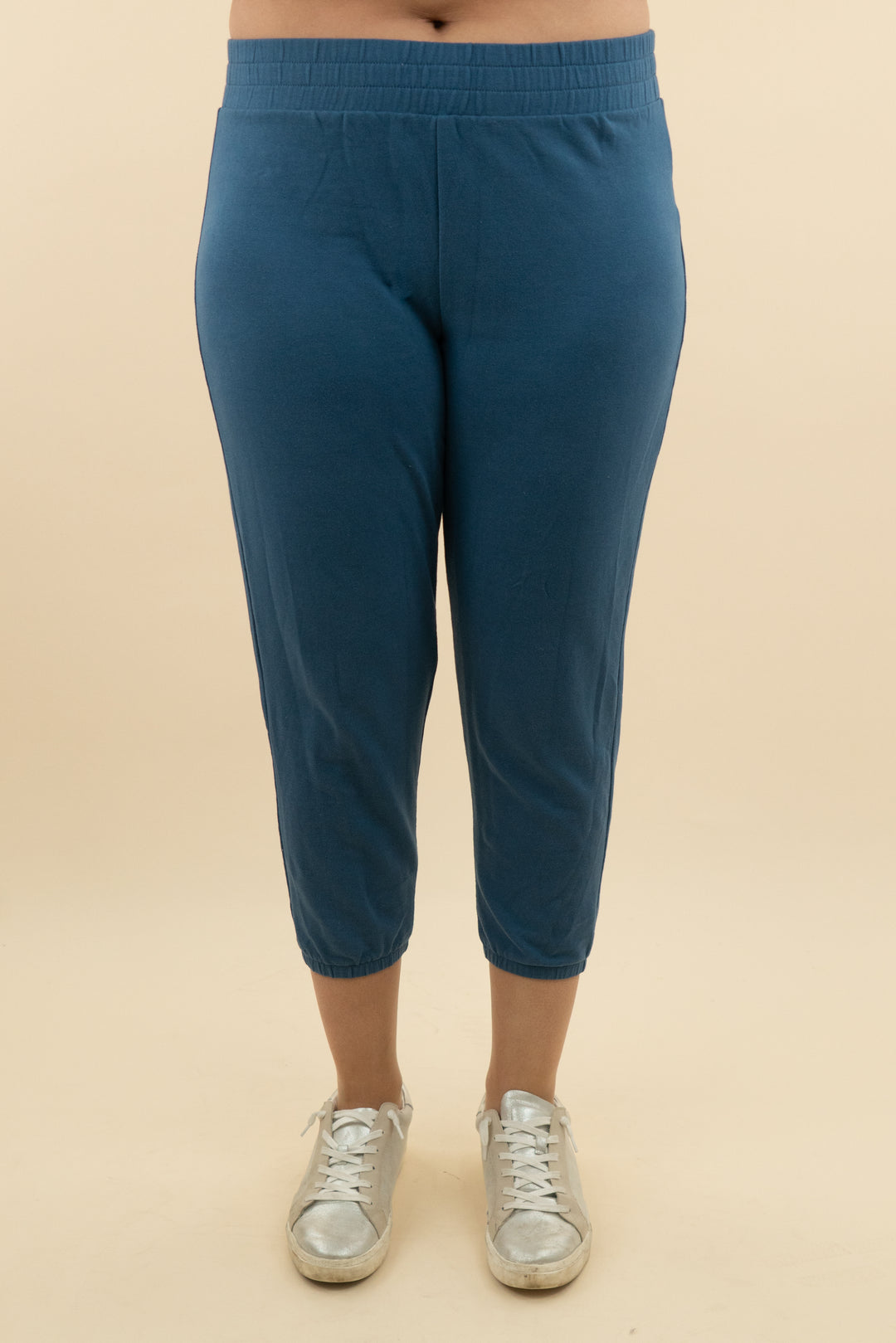j crew blue lounge jogger (l: retail $69)