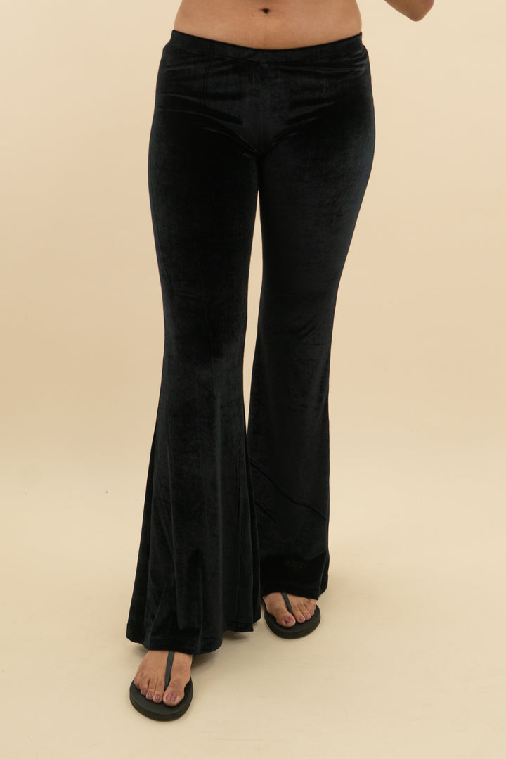 novella royale velvet flare pant (m; retail $140)