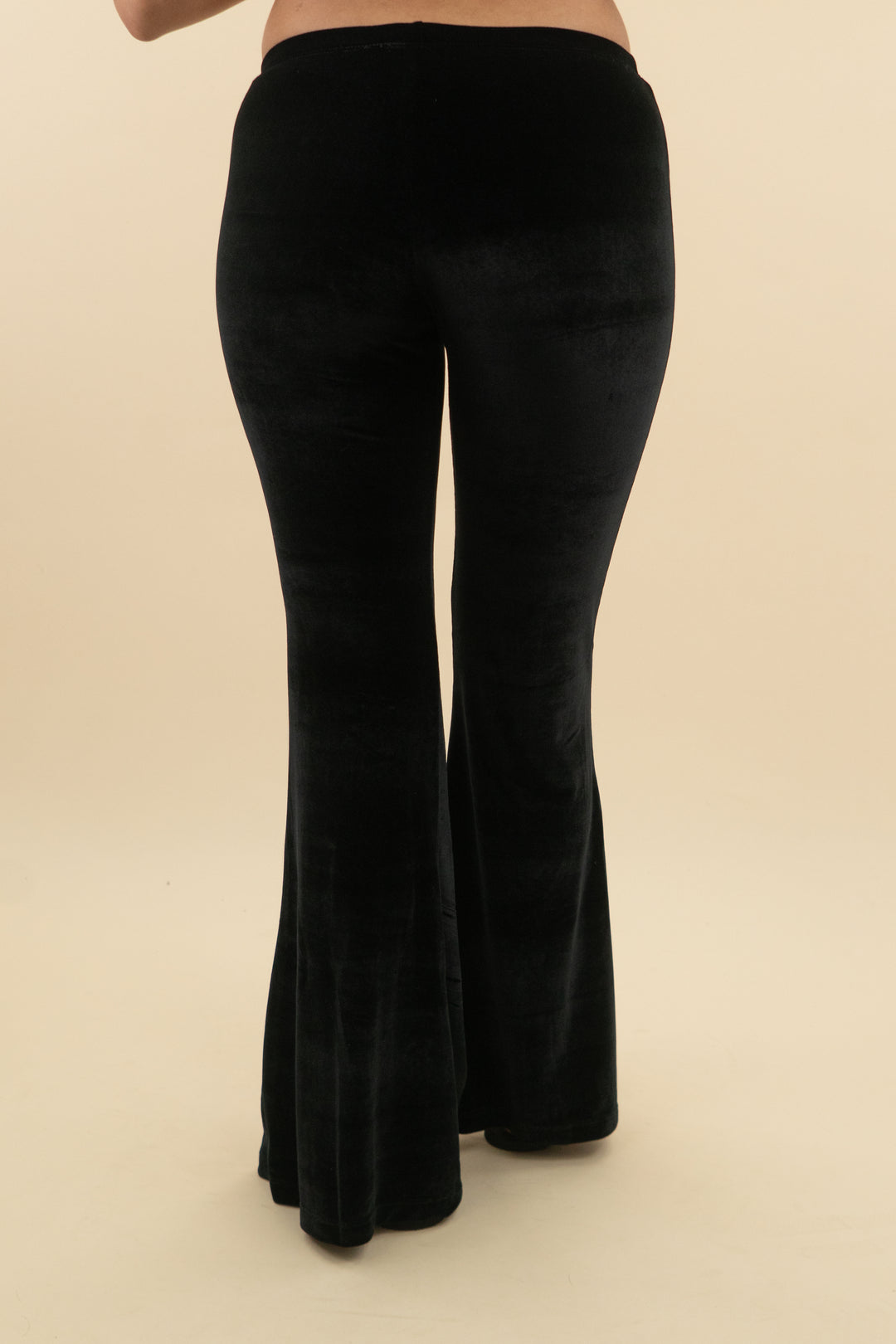 novella royale velvet flare pant (m; retail $140)