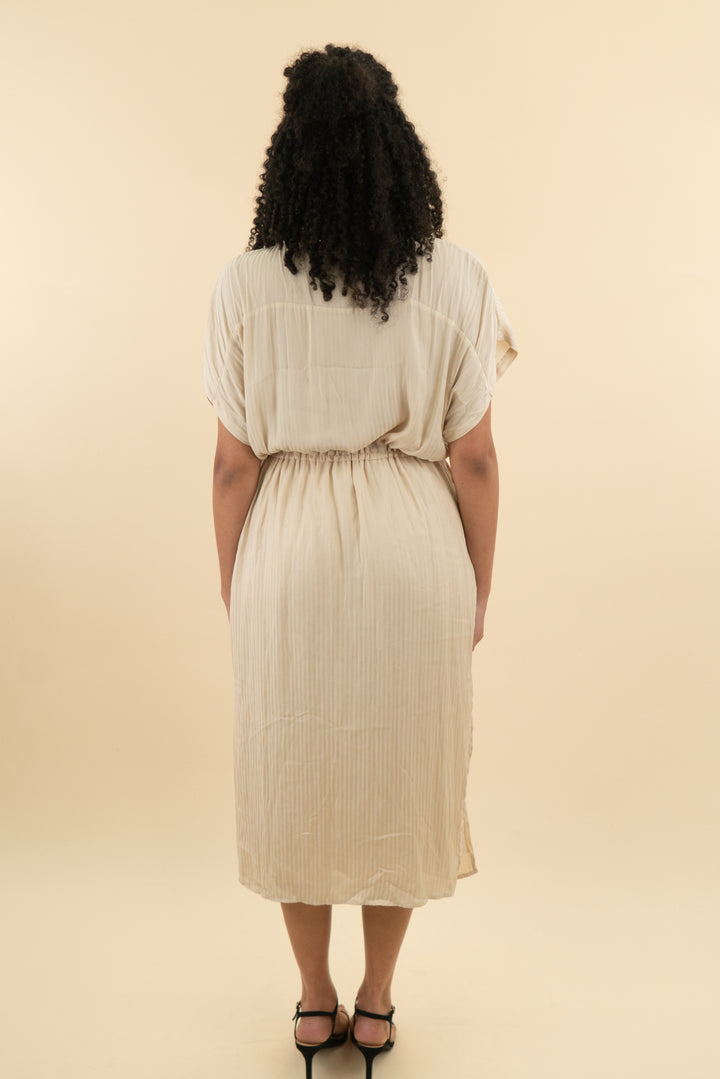 lucy paris beige satin striped midi dress (m; retail $138)