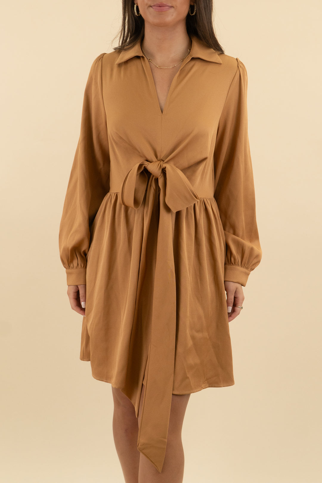 in february tan long sleeve tie mini dress nwt (s; retail $74)