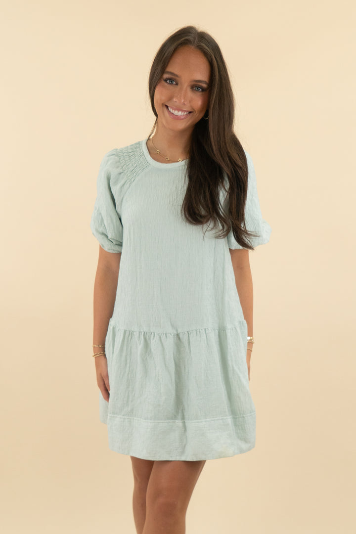 Club Monaco Mint Textured Mini Dress (s: retail $229)
