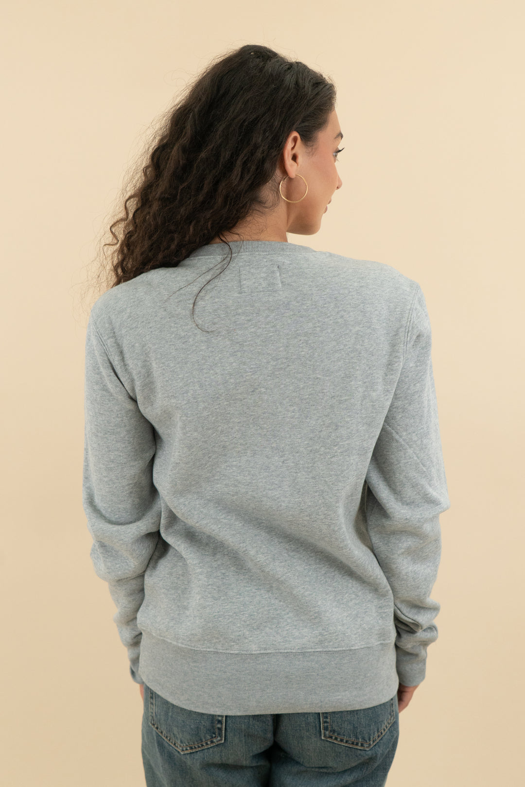 47 brand grey "volunteers" crewneck sweatshirt nwt (s; retail $75)