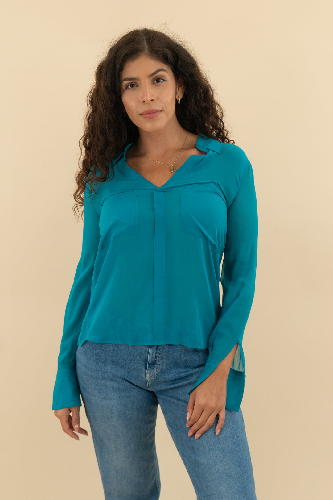Bcbgmaxazria Dark Teal Sheer Button Down (xs; retail $98)