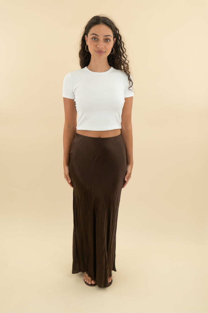 Quince Brown Silk Skirt (s; retail $80)