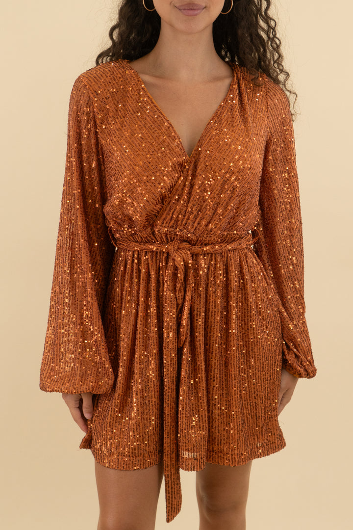 Petal + Pup Orange Sequin Mini Dress (10; retail $108)