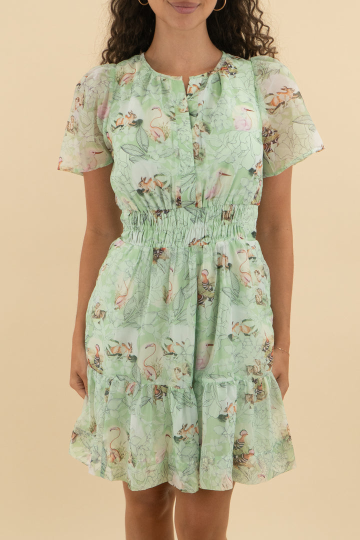 anthropologie mint green floral print ruffle short dress nwt (s; retail $148)
