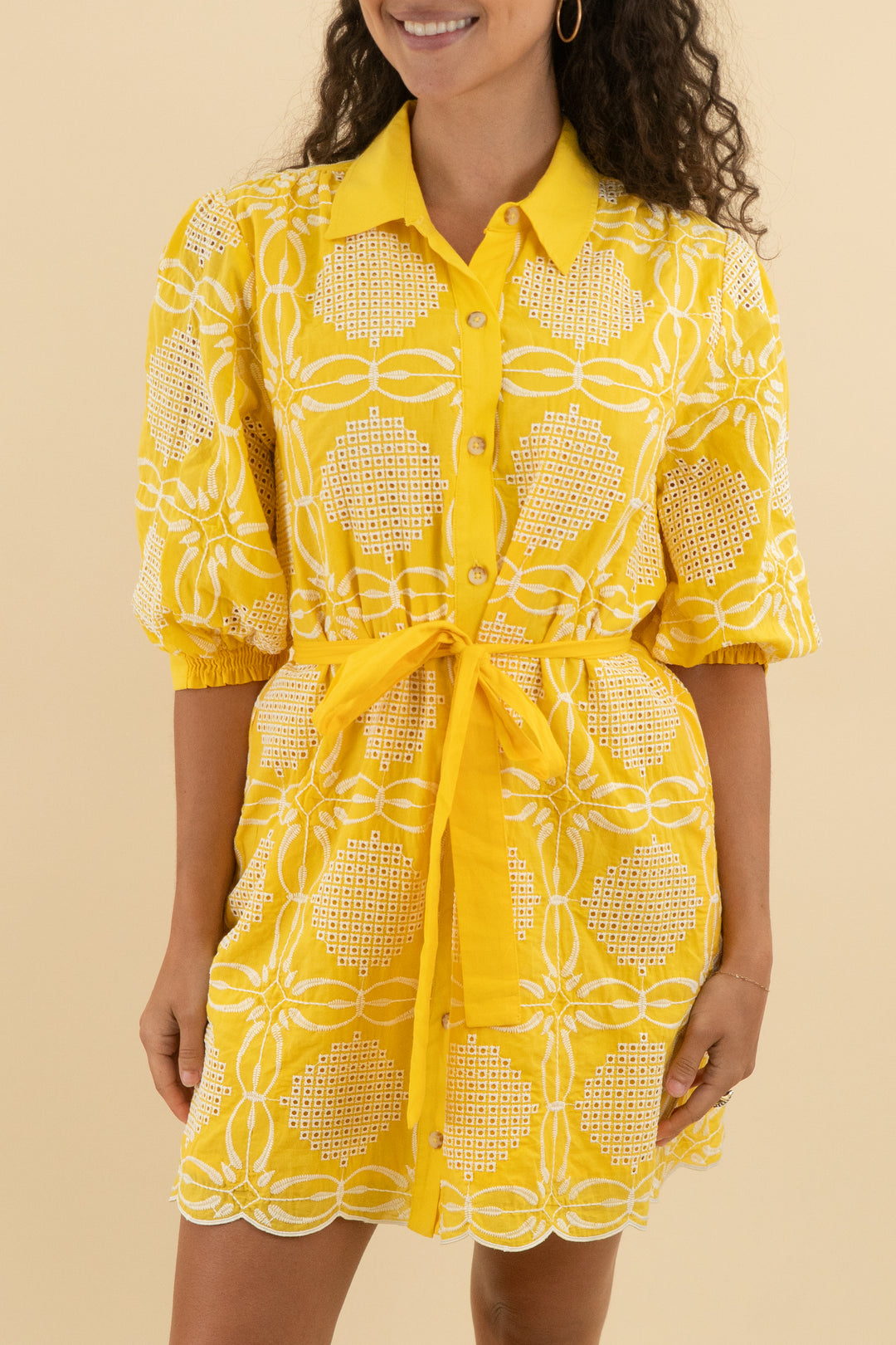 maeve golden yellow eyelet button down dress nwt (s; retail $248)