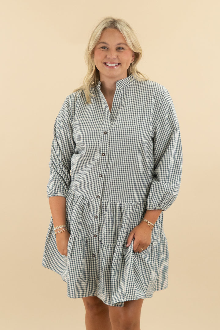 petal & pup grey gingham long sleeve flowy mini dress nwt (l/xl; retail $119)