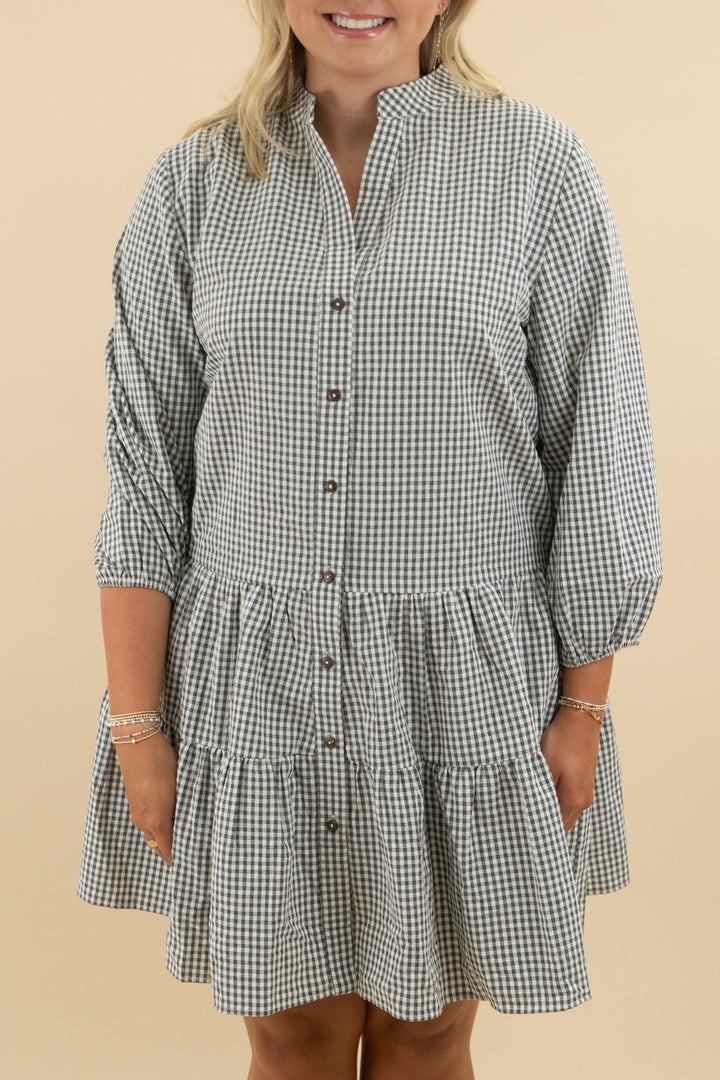 petal & pup grey gingham long sleeve flowy mini dress nwt (l/xl; retail $119)