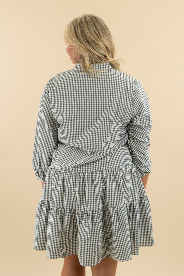 petal & pup grey gingham long sleeve flowy mini dress nwt (l/xl; retail $119)