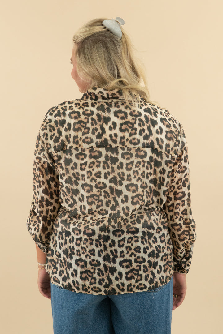 *AUCTION* zara cheetah button down (xl)