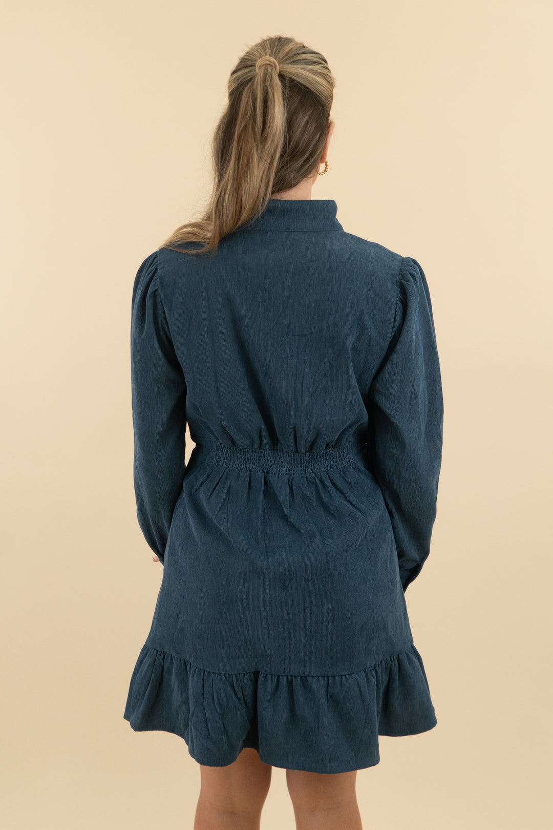 Avara Chambray Long Sleeve Mini Dress nwt (s; retail $84)