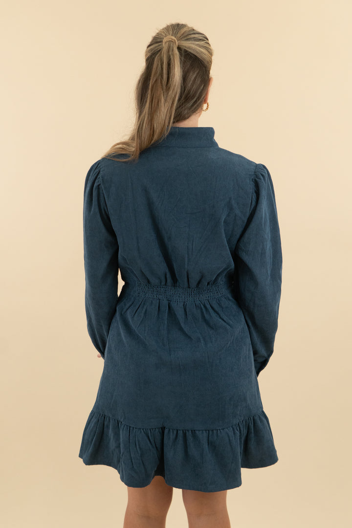 Avara Chambray Long Sleeve Mini Dress nwt (s; retail $84)