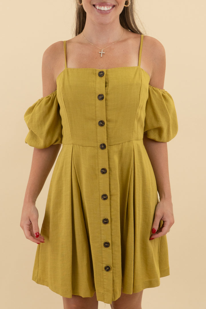Just One Answer Green Button Down Mini Dress (m; retail $114)