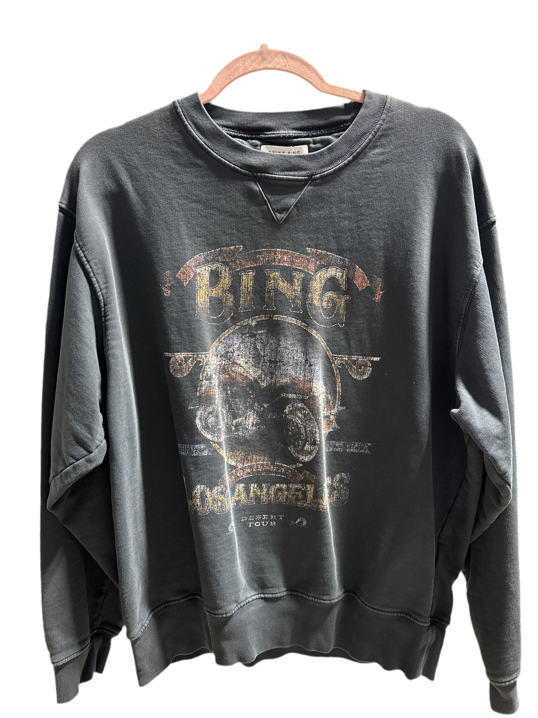 SOLD: anine bing graphic crewneck sweatshirt (L; retail $200)