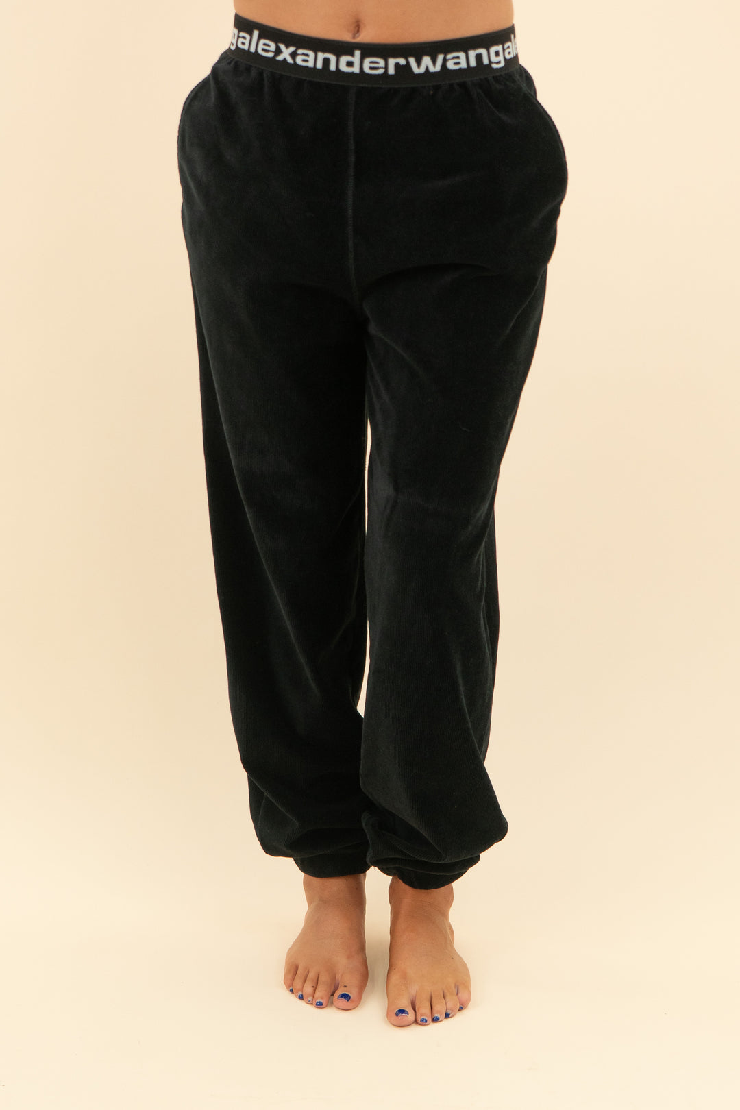 alexander wang black velvet ribbed joggers (s; retail $295)